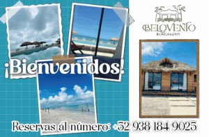 LONA 290X190